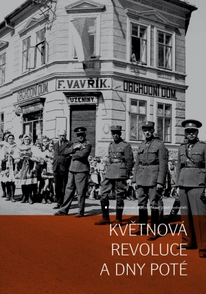 Škoda lásky